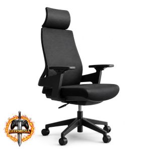Cadeira De Escritório Ergonômica B650 Executiva