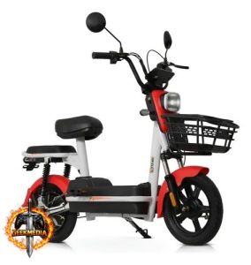 Bicicleta Elétrica Smart MT-5 Motor 500W Bateria 48V 12Ah Vermelho